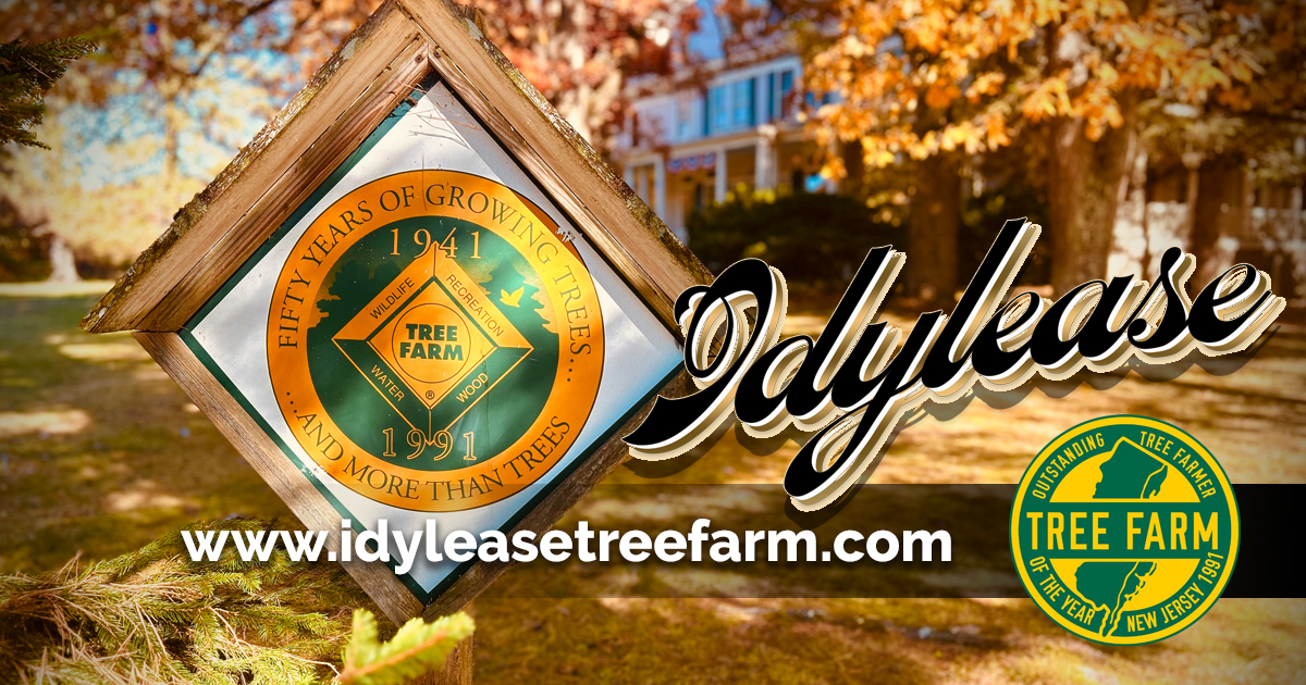Idylease Tree Farm in Newfoundland, New Jersey, recognized as Outstanding Tree Farmer of the Year in 1991